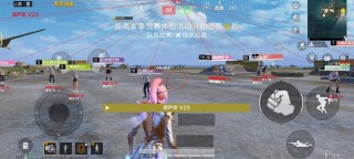 和平精英【火神直装】外挂